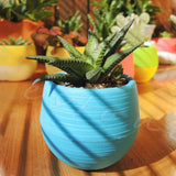 Mini Round Plastic Pot