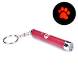 Creative Funny Interactive Pet LED Laser Toy