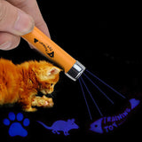 Creative Funny Interactive Pet LED Laser Toy