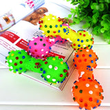Colourful Dumbbell Chew Toy